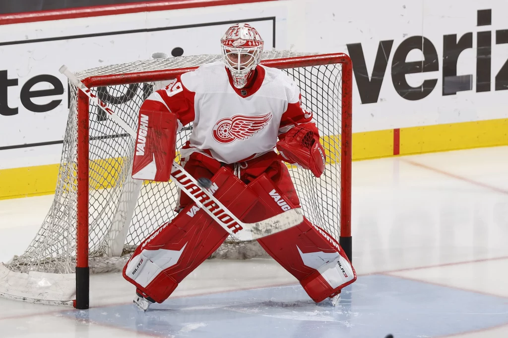 Deal Cancel: Goaltender Alex Nedeljkovic is returning back to Detroit Red Wings